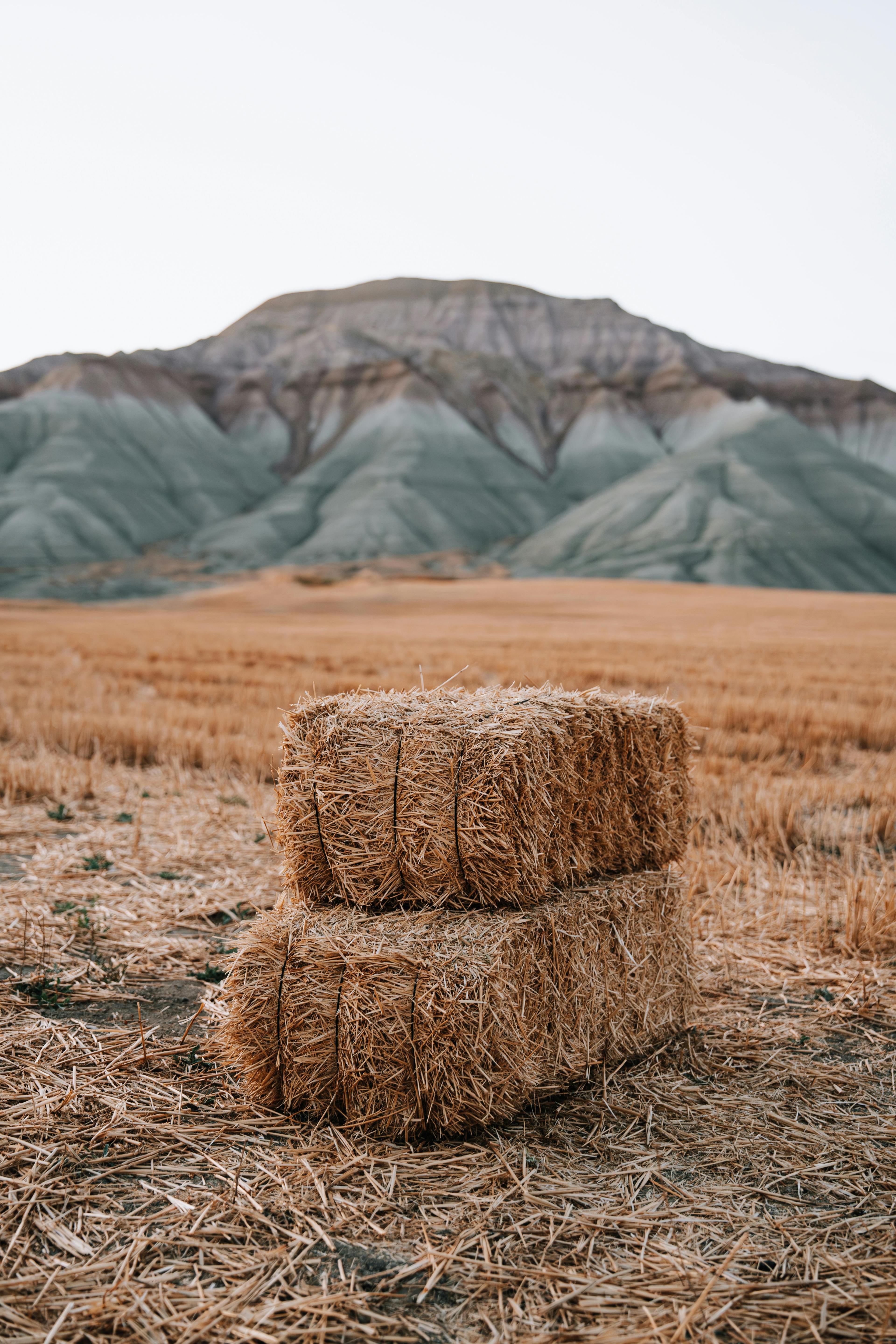 Photo of ISO Square Straw Bales