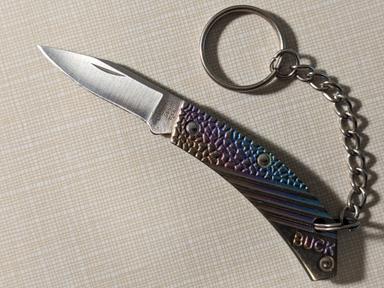 Photo of Buck USA 565 Tiny Titanium 1-5/8" folder - 1