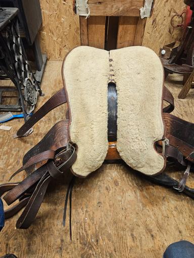 Photo of F eamor saddles - 1