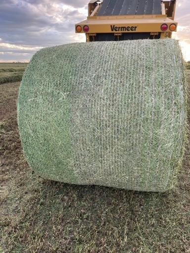 Photo of FOR SALE;  DIARY QUALITY ALFALFA HAY - TEXT 406 422-2211 - 1