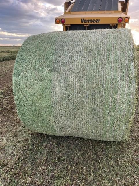 Photo of FOR SALE;  DIARY QUALITY ALFALFA HAY - TEXT 406 422-2211