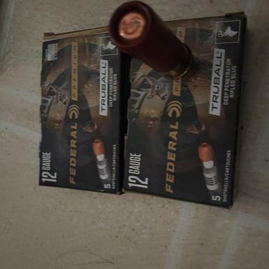 Photo of PRICE REDUCED! Various Ammo and 12gauge leather belt - 1