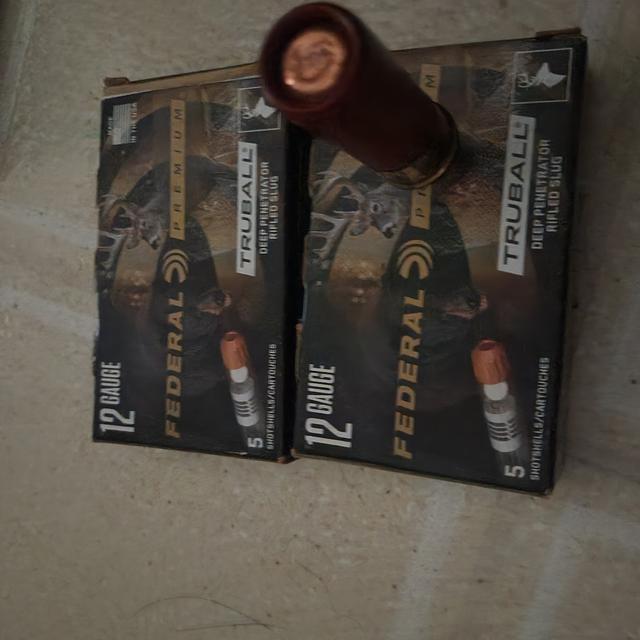 Photo of PRICE REDUCED! Various Ammo and 12gauge leather belt