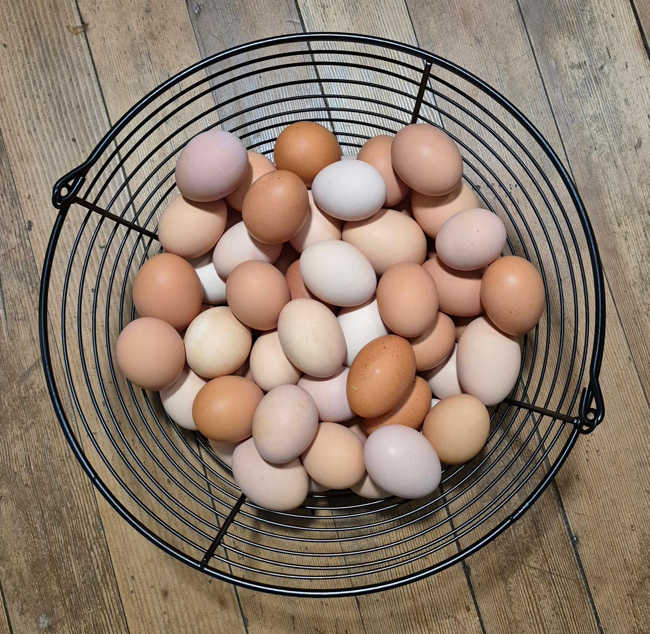 Photo of Farm fresh eggs 