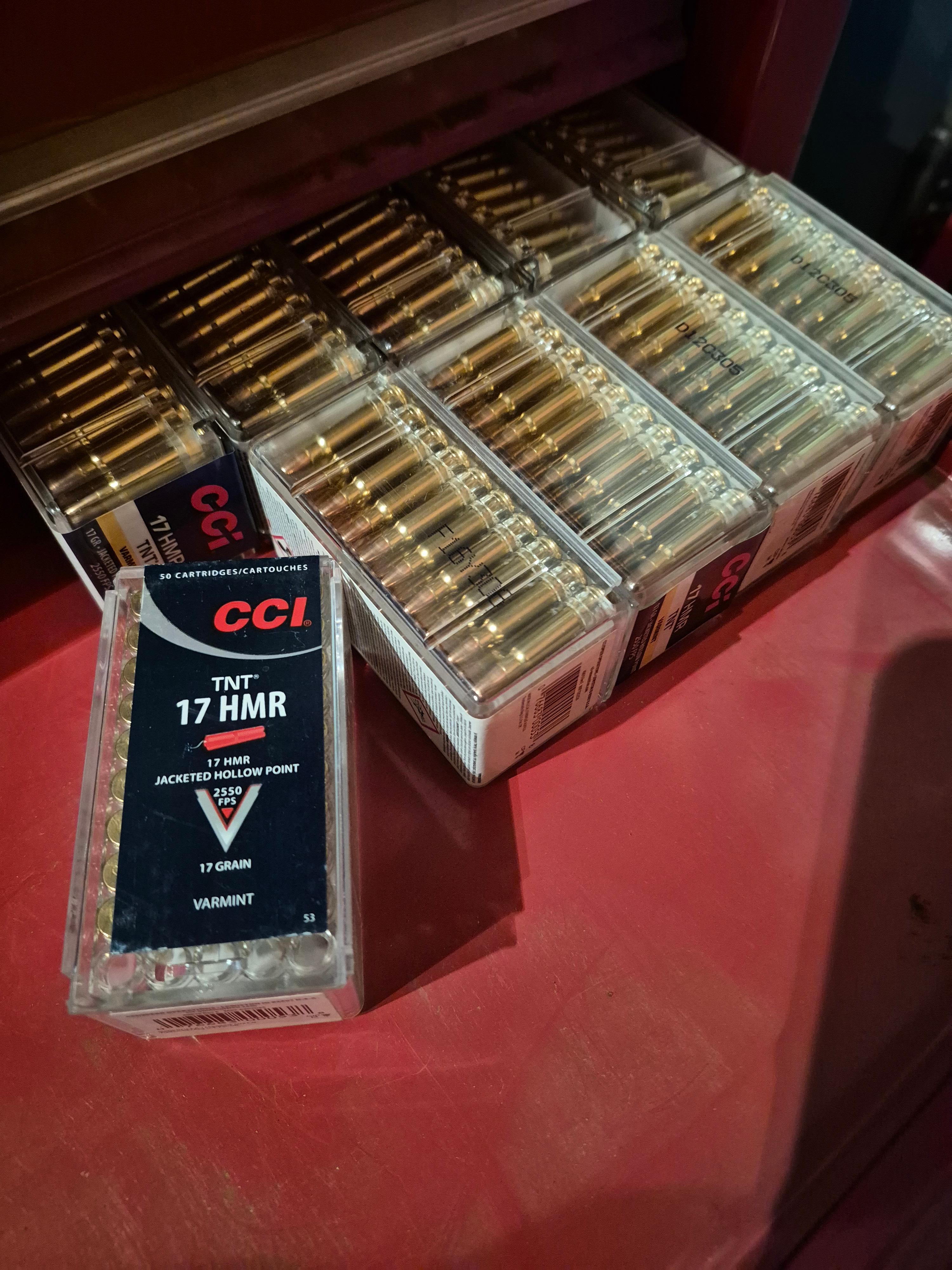 Photo of 17hmr ammo