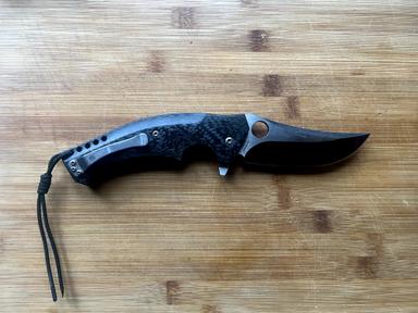 Photo of Spyderco Brend/Prirela Mamba Folding Knife - 1