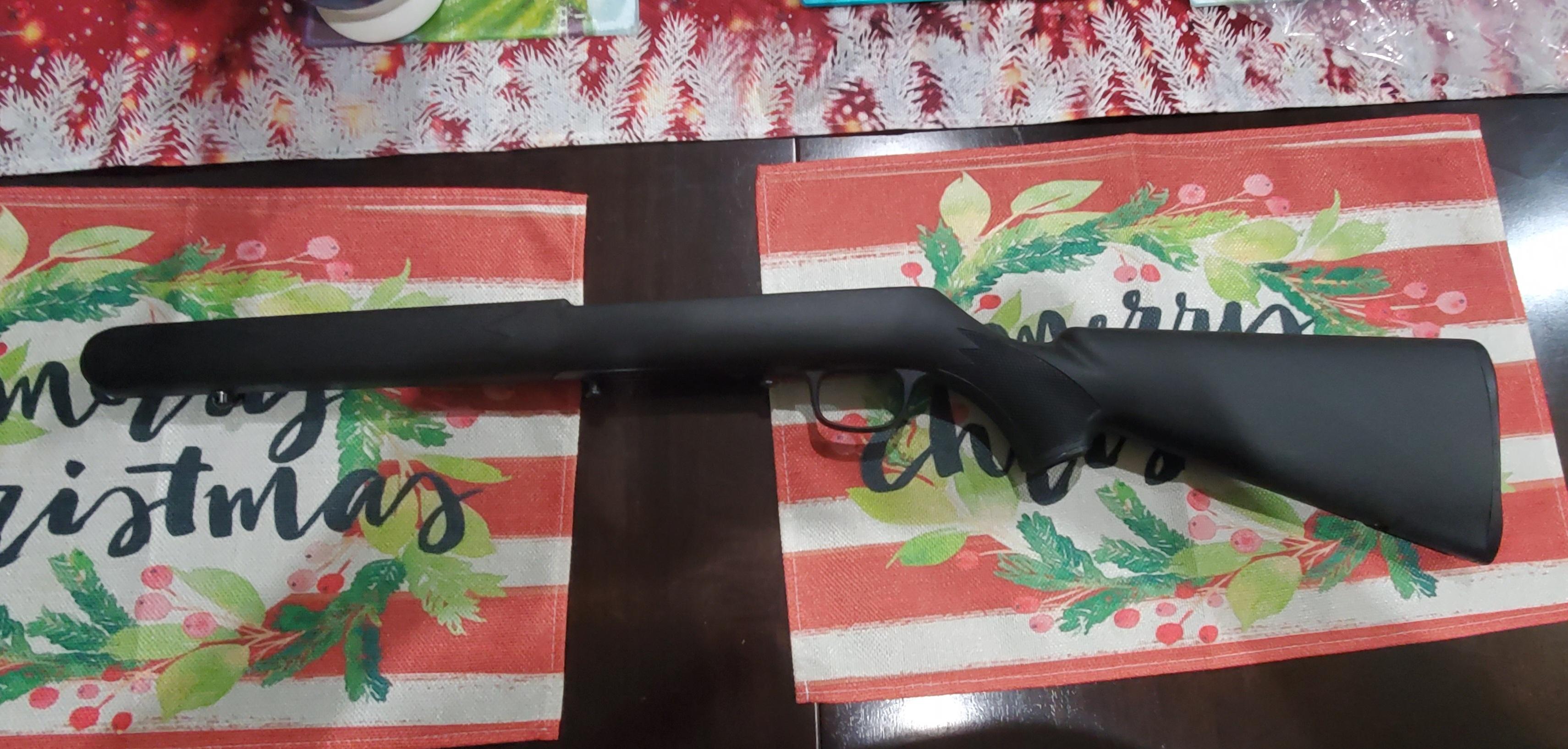 Photo of Savage Mark II stock