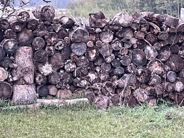 Photo of Pile of burnwood. I deliver!