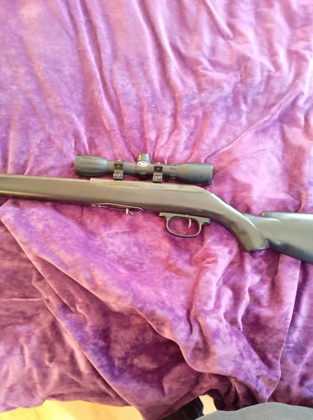 Photo of Cooey 22 cal semi with original plastic clip