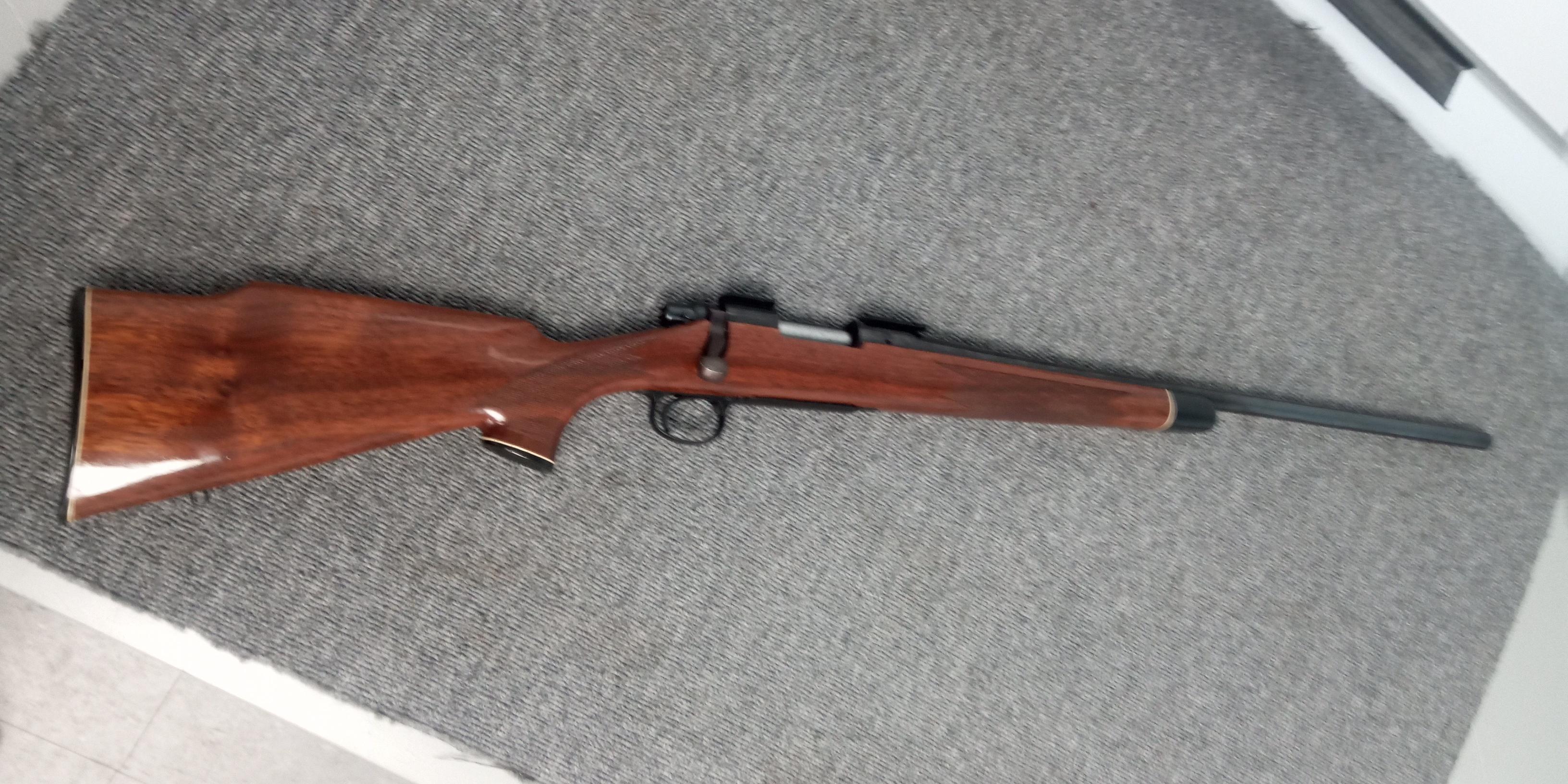 Photo of Remington 700 in 22-250