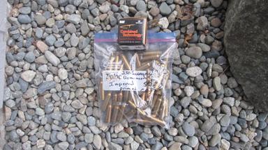 Photo of  .250 Savage Bullets And Brass - 1