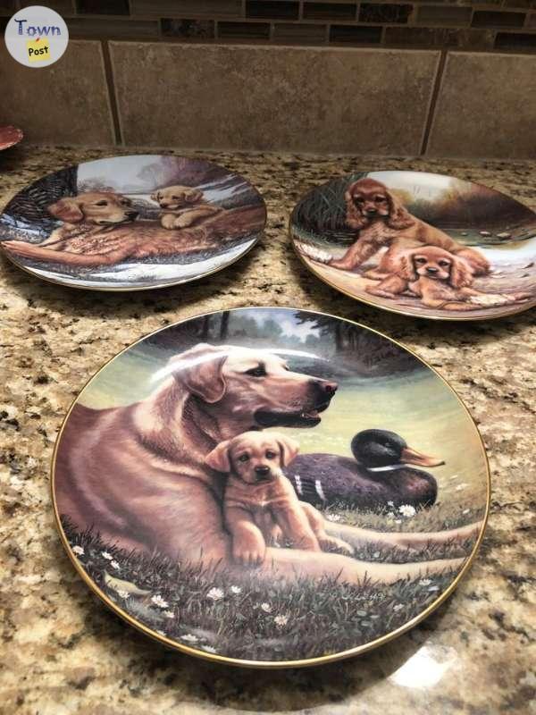 Photo of Sporting Generation Dog Plates, set of 3