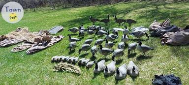 Photo of Goose hunting setup - 1