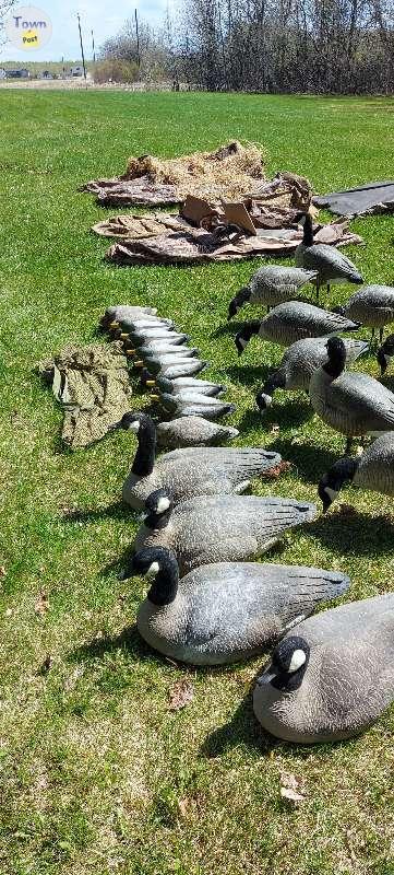 Photo of Goose hunting setup - 2