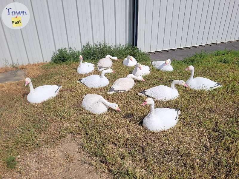 Photo of G&H  MAGNUM 27" SNOW GEESE DECOYS 27"  DELUXE USA MADE,  