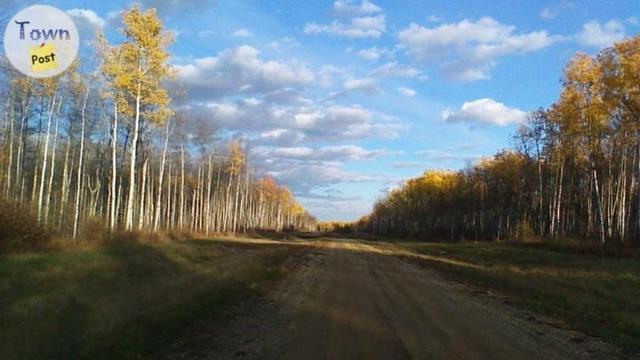 Photo of Weberville acreages 