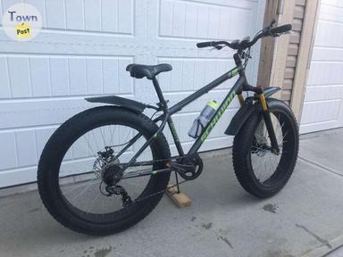 Photo of 2020 Schwinn "Biggity" DLX Fat Bike  - 2