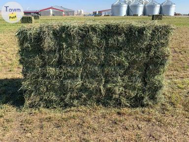 Photo of Hay for Sale - 1