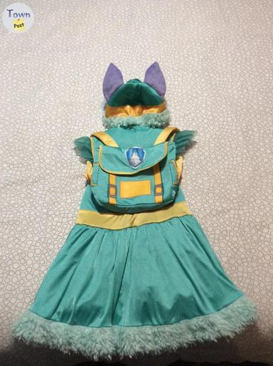 Photo of Paw Patrol Everest Costume - 1