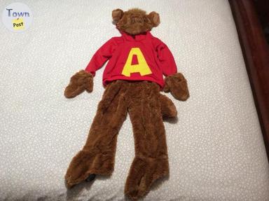 Photo of Alvin Costume - 1