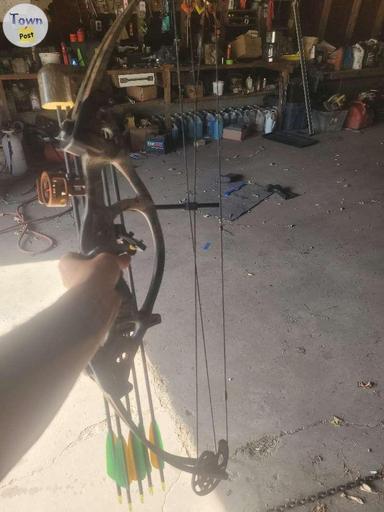 Photo of Right hand hoyt bow  - 1