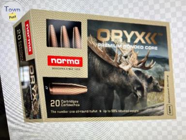 Photo of 308 Norma Magnum ammunition  - 1