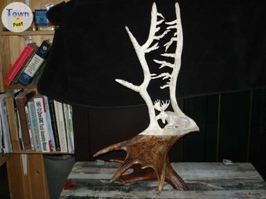 Photo of Moose shed Carvings - 2