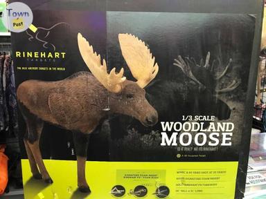 Photo of 1/3 SCALE WOODLAND MOOSE - ARCHERY TARGET - 2