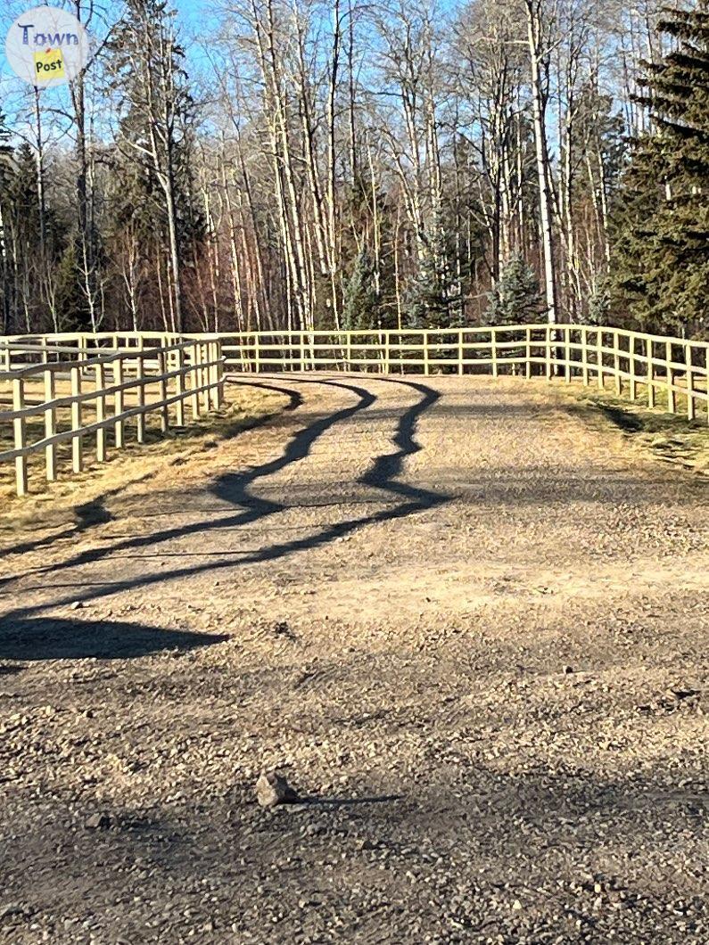 Photo of Fencing