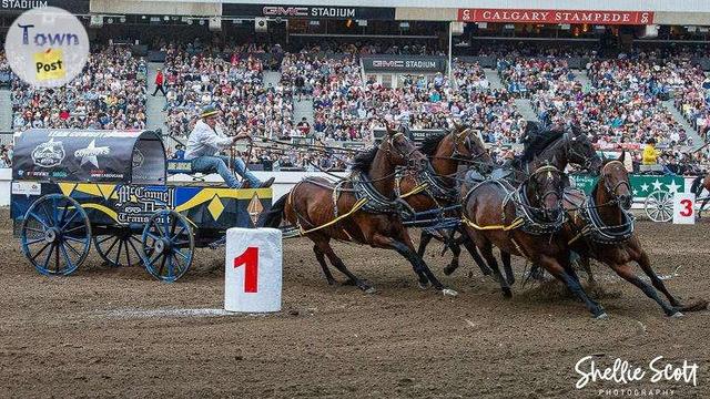 Photo of WANTED: Calgary Stampede Infield Chuckwagon Tix