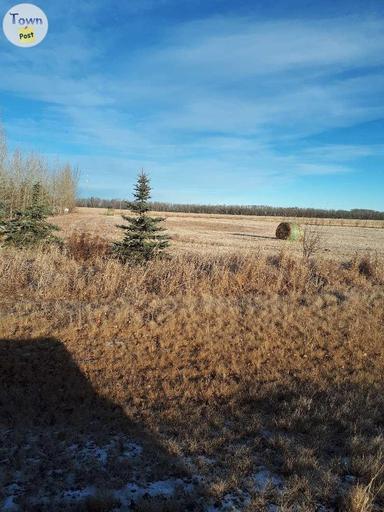 Photo of Acreage for sale - 1