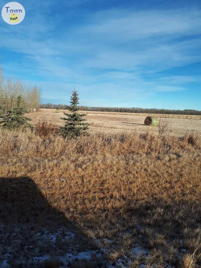 Photo of Acreage for sale