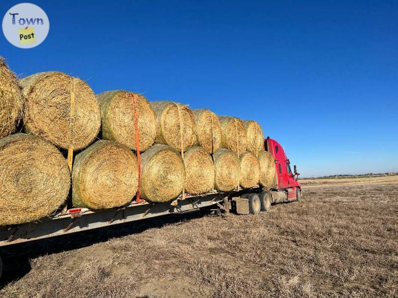 Photo of Oats greenfeed - Round bales