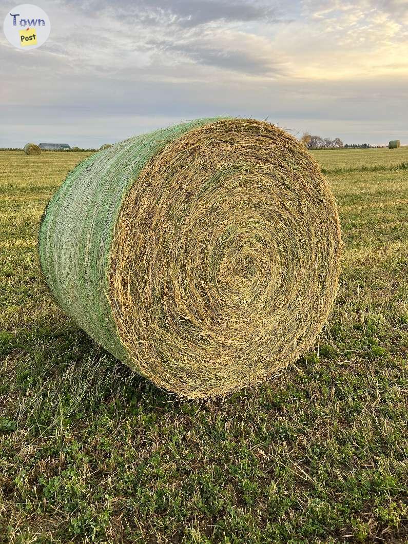 Photo of Alfalfa Hay - round bales