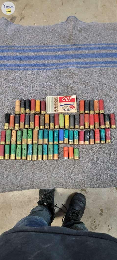 Photo of Collector 12 gauge ammo