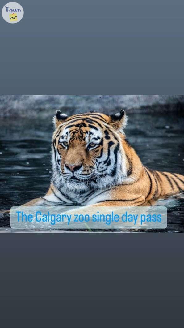 Photo of Calgary Zoo Single day Pass To sale Skip the line