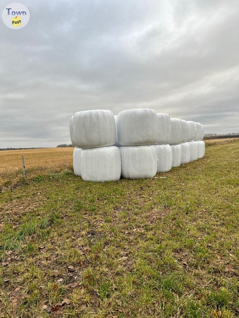 Photo of Hay for sale