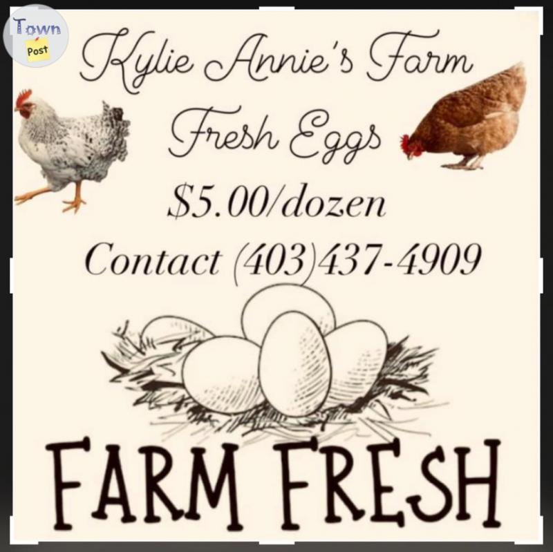 Photo of Kylie Annie’s Farm Fresh Eggs