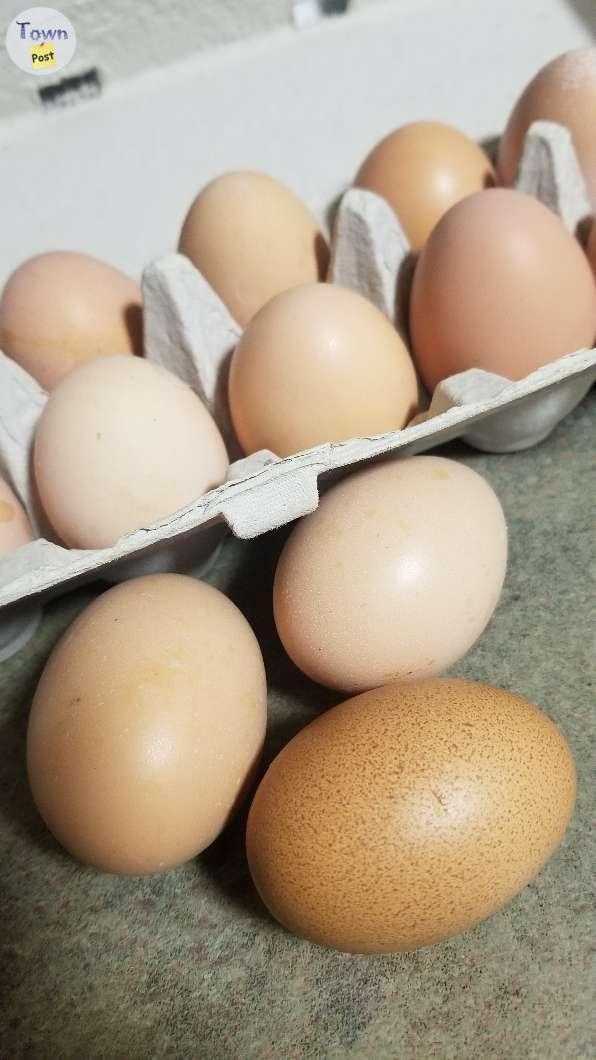 Photo of Farm fresh eggs for sale