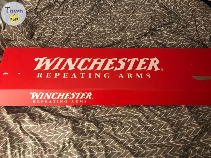 Photo of Winchester SXP 12ga pump