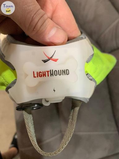 Photo of Light up dog harness - 1