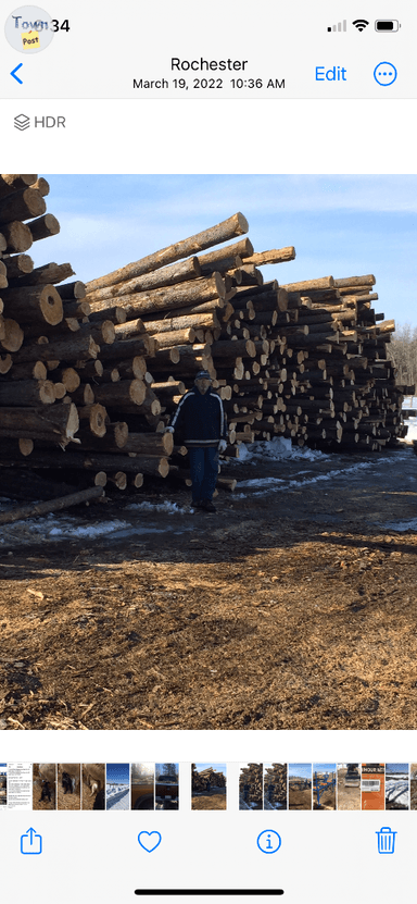 Photo of Spruce or tamarack firewood  - 2