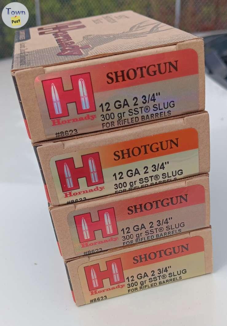 Photo of Hornady 12 GA SST Slugs 300 gr