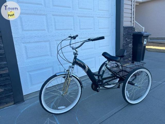 Photo of Adult Trike Bike 