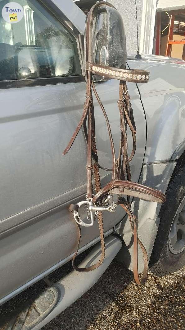 Photo of Horse Tack