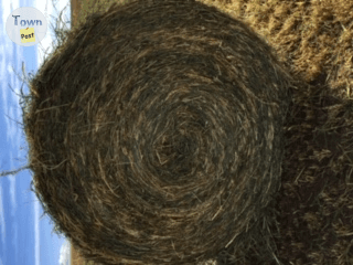 Photo of FOR SALE;  ALFALFA HAY