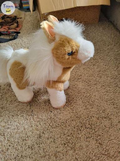 Photo of Butterscotch pony - 1