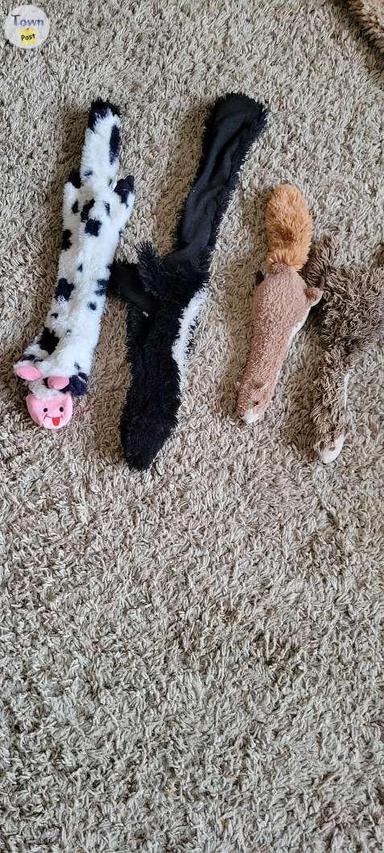 Photo of Dog toys - 1