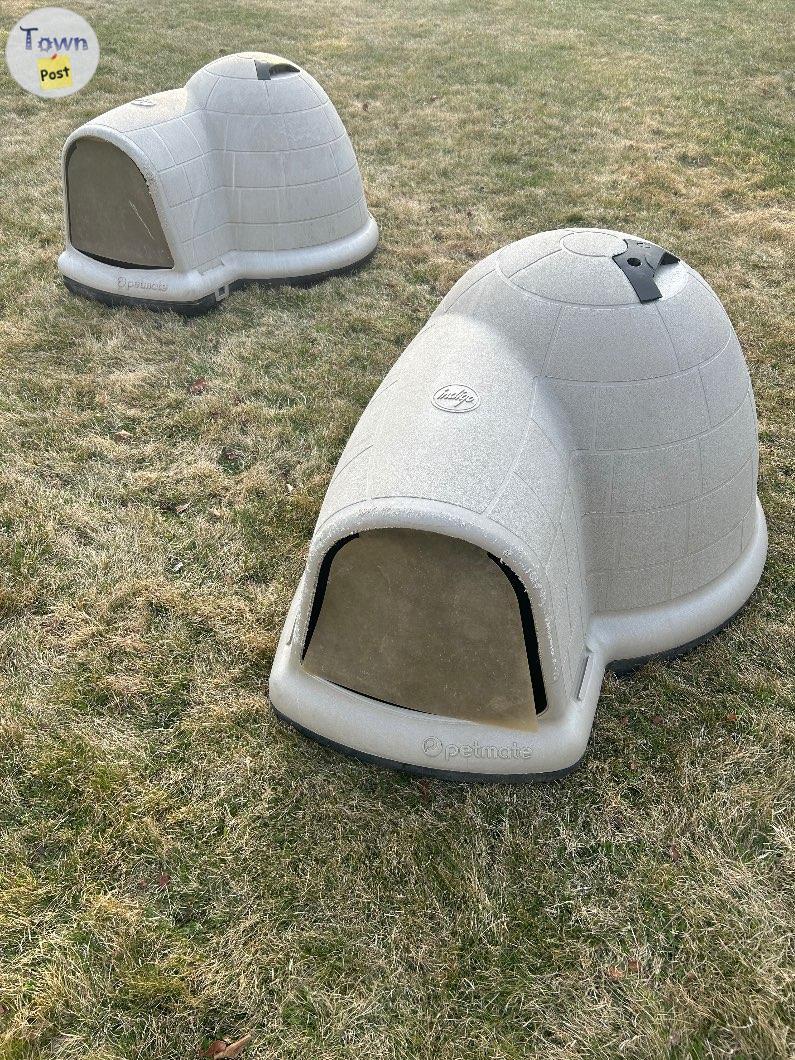 Photo of Igloo dog houses