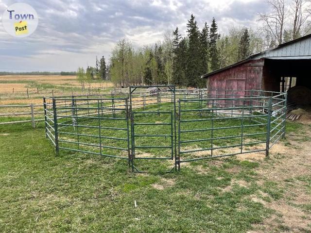 Photo of Hi hog round pen